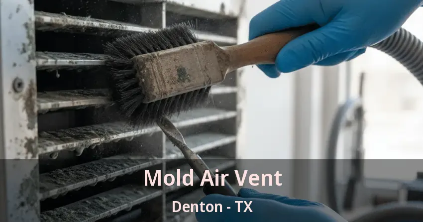 Mold Air Vent Denton - TX