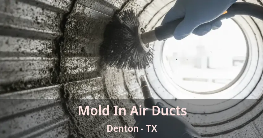 Mold In Air Ducts Denton - TX