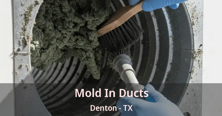 Mold In Ducts Denton - TX