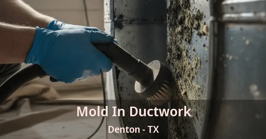 Mold In Ductwork Denton - TX
