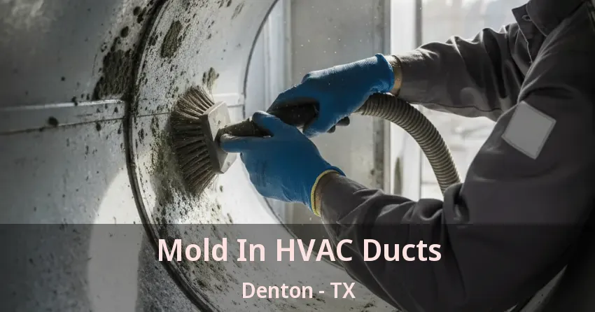 Mold In HVAC Ducts Denton - TX