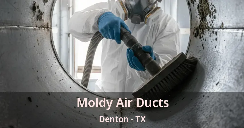Moldy Air Ducts Denton - TX